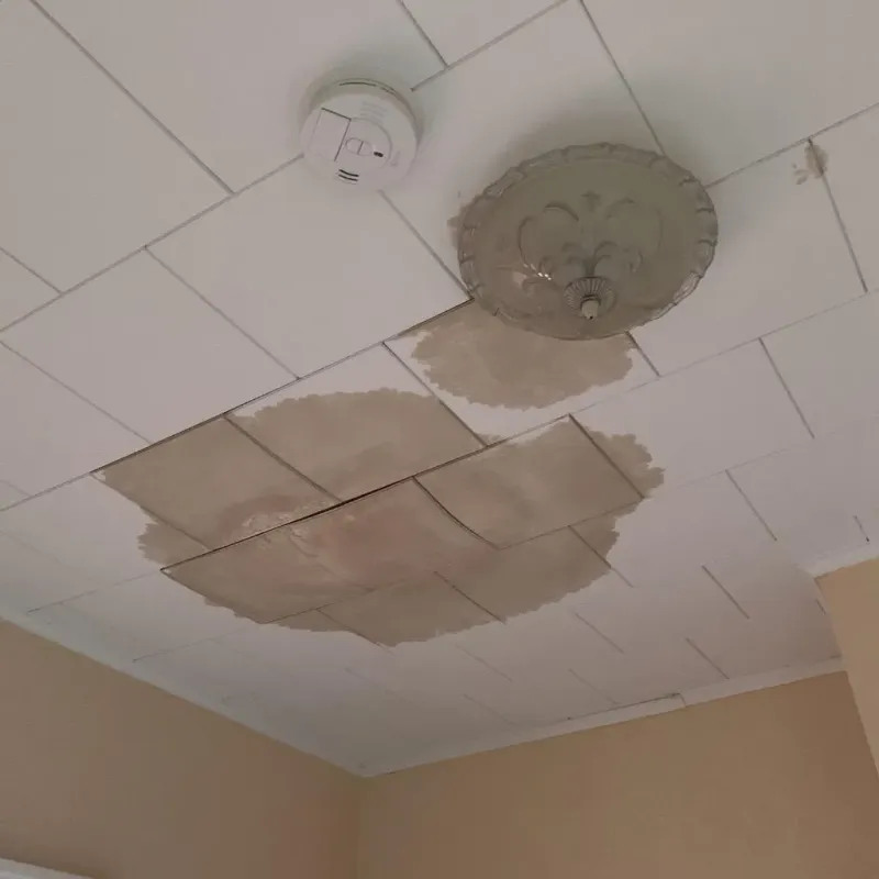 Ceiling Water Damage Repair in Miamitown, OH