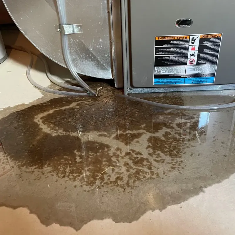 Pipe Burst and Leak Restoration in Miamitown, OH